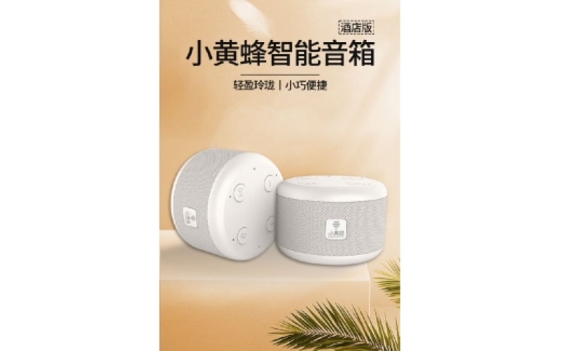 智能音箱案例